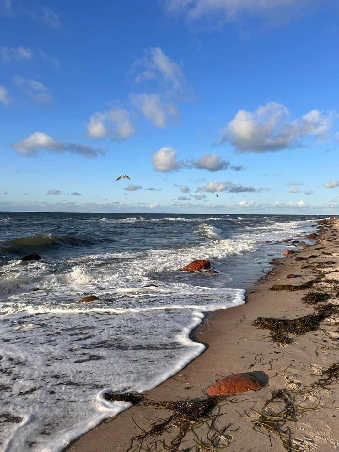 Fewo Unter Der Kuehlung Bastorf Exterior foto